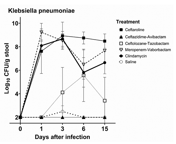 figure 1b